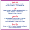 Veterans Pause Practice Card – 25 pocket-sized Pause cards FREE! $5.00 charge for packaging and postage. - Image 2