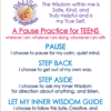 “Teens Can Pause” Card – 25 pocket-sized Pause cards FREE! $5.00 charge for packaging and postage. - Image 2